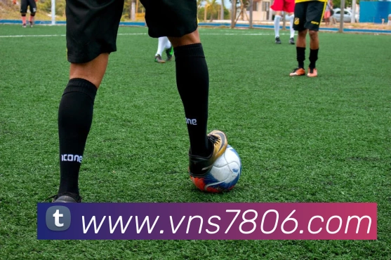 威尼斯娱乐平台APP 封面图